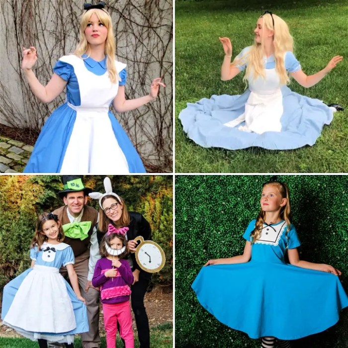20 DIY Alice in Wonderland Costume Ideas 2024 - Blitsy